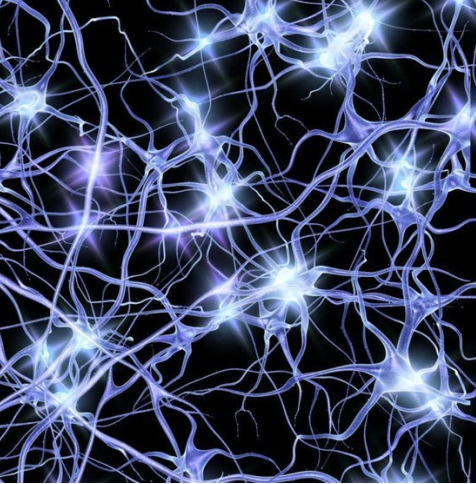 Elektrische activiteit van neuronen